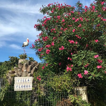 Floros Apartments アギオス・ステファノス エクステリア 写真