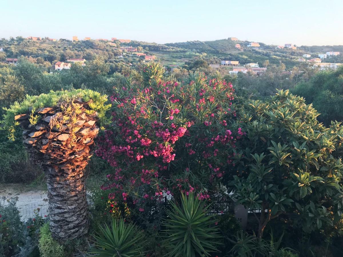 Floros Apartments アギオス・ステファノス エクステリア 写真
